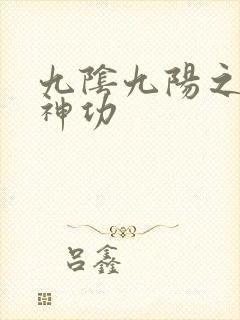 九阴九阳之阴阳神功