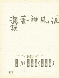 混蛋神风流史小说