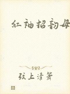 红袖招韵母攻略