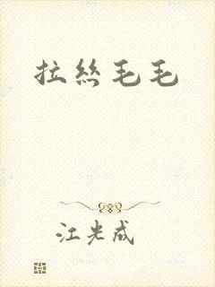 拉丝毛毛