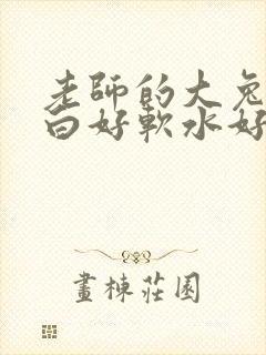 老师的大兔子好白好软水好多