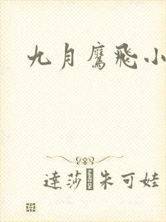 九月鹰飞小说
