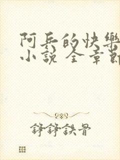 阿兵的快乐生活小说 全章节阅读免费