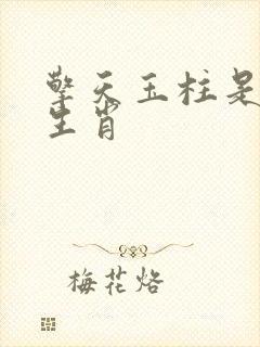 擎天玉柱是什么生肖