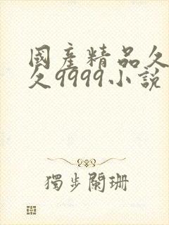 国产精品久久久久9999小说