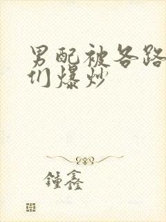 男配被各路大佬们爆炒