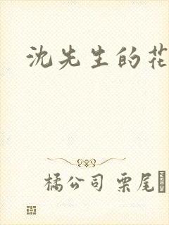 沈先生的花式调