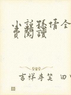 小说孙倩全文免费阅读