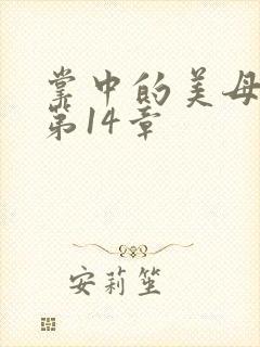 掌中的美母版主第14章