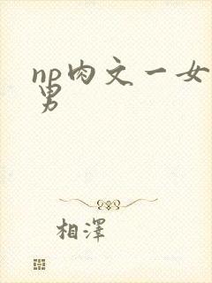 np肉文一女多男