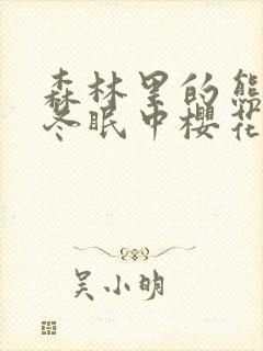 森林里的熊先生冬眠中樱花动漫