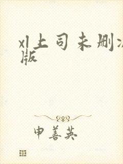 xl上司未删减版