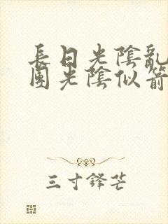 长日光阴乱作一团光阴似箭