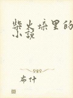 柴火垛里的疯狂小说