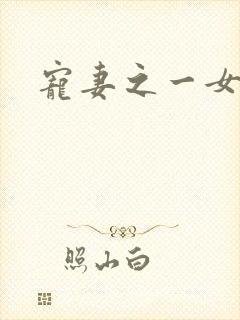 宠妻之一女二夫