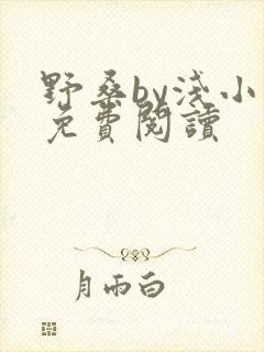 野桑by浅小说免费阅读