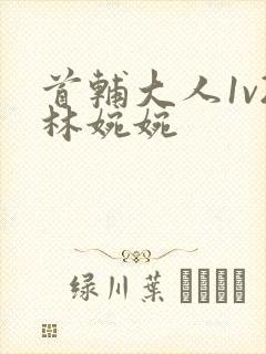 首辅大人1v2林婉婉