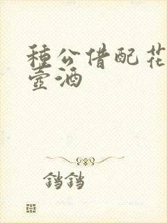 种公借配花间一壶酒