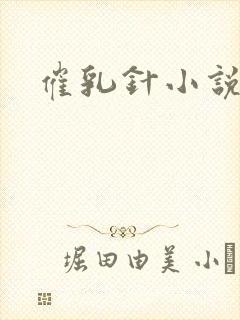 催乳针小说