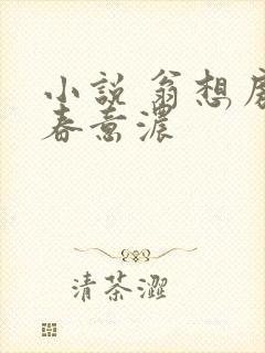 小说 翁想房中春意浓