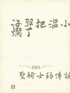 洛羿把温小辉做烂了