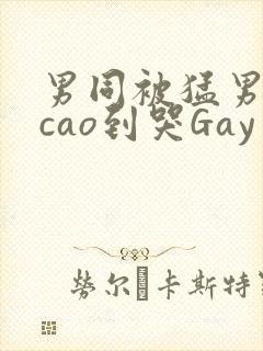 男同被猛男房东cao到哭Gay