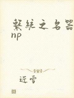 系统之名器攻略np