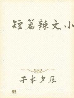 短篇辣文小说