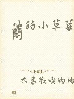 他的小草莓笔趣阁