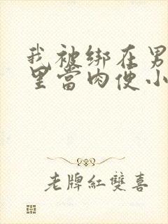 我被绑在男公厕里当肉便小说