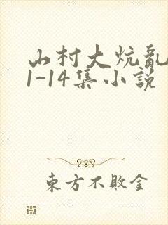 山村大炕乱肉续1-14集小说