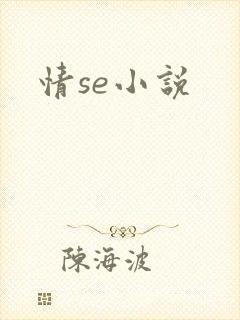 情se小说
