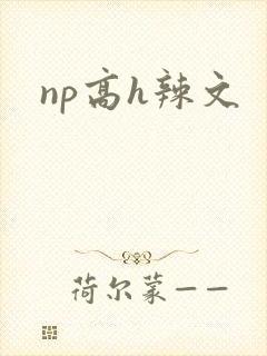 np高h辣文