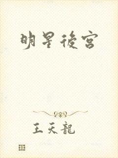 明星后宫