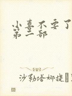 小喜不要了好大第二部