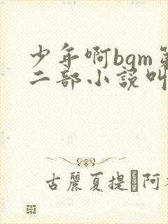 少年啊bgm第二部小说叫什么
