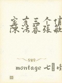 家有三个俏媳妇陈法蓉张敏