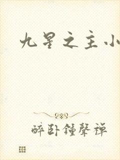 九星之主小说