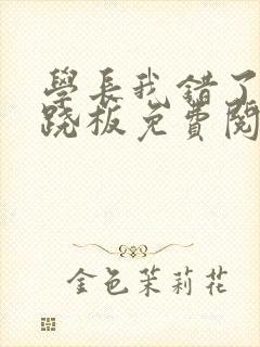 学长我错了 跷跷板免费阅读