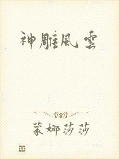 神雕风云