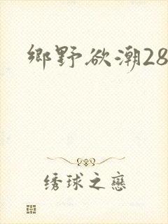 乡野欲潮28章