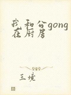 我和公gong在厨房