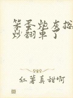 笨蛋炮灰总被爆炒翻车了