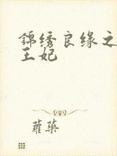 锦绣良缘之北地王妃