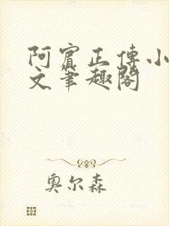 阿宾正传小说全文笔趣阁