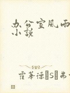 办公室风雨完整小说