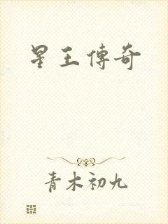 星王传奇