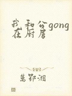 我和公gong在厨房