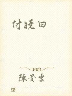 付晓田