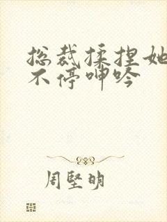 总裁揉捏她两乳不停呻吟